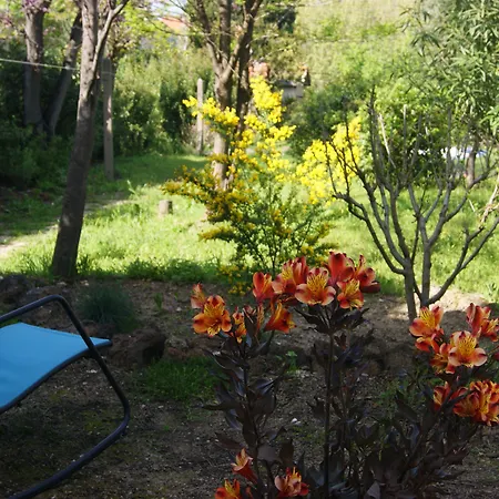 Panzió Le Petit Moliere D'hotes