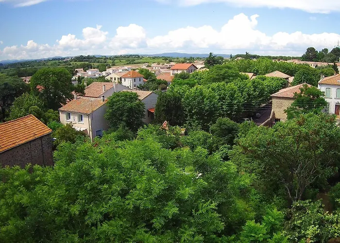 Le Petit Moliere D'hotes Servian